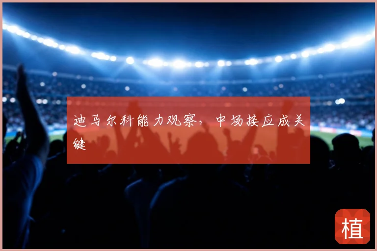 迪马尔科能力观察，中场接应成关键